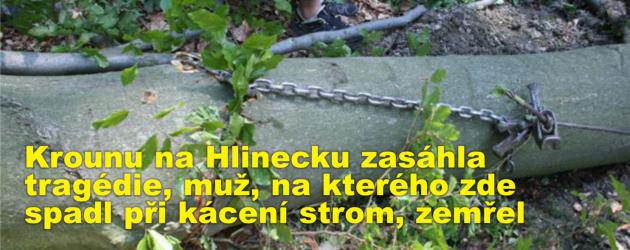 Krounu na Hlinecku zasáhla tragédie, muž, na kterého zde spadl při kácení strom, zemřel