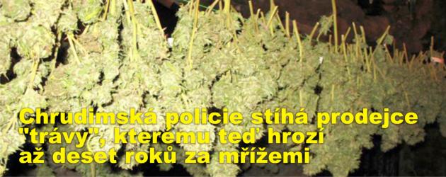 Chrudimská policie stíhá prodejce "trávy", kterému teď hrozí až deset roků za mřížemi