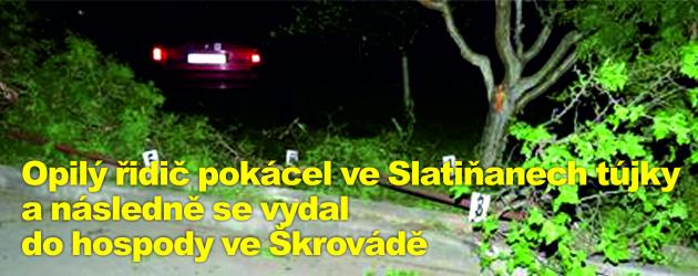 Opilý řidič kácel ve Slatiňanech tújky a následně se vydal do hospody ve Škrovádě