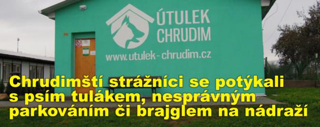 Chrudimští strážníci se potýkali s psím tulákem, nesprávným parkováním či brajglem na nádraží