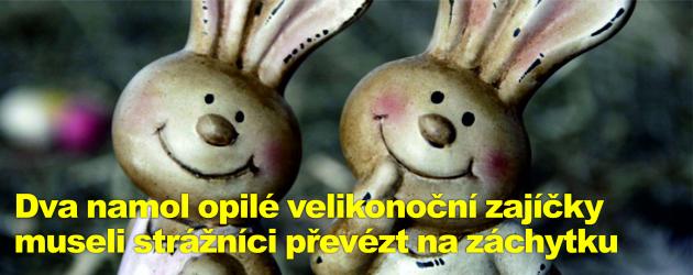Dva namol opilé velikonoční zajíčky museli strážníci převézt na záchytku