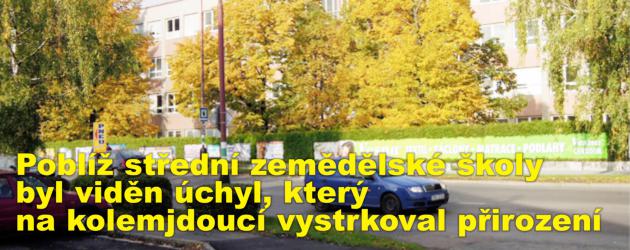 Poblíž střední zemědělské školy byl viděn úchyl, který na kolemjdoucí vystrkoval přirození