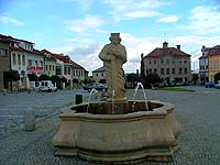 V kašně ve Skutči se objevil úhoř, jak se tam vzal, nikdo neví
