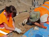 Archeologové odkryli při stavbě obchvatu v Dašické ulici středověké hroby z rozmezí 11. až 13. století