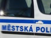 Za zastávkou v Novoměststké ulici se povalovalo uhynulé zvíře