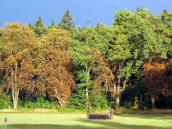 Park Bažantnice zůstane i přes snahu myslivců nadále přístupný veřejnosti, heřmanoměstecká radnice to vítá