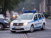 V ulici Obce Ležáků byl usmrcen na silnici německý ovčák, nebylo mu už pomoci