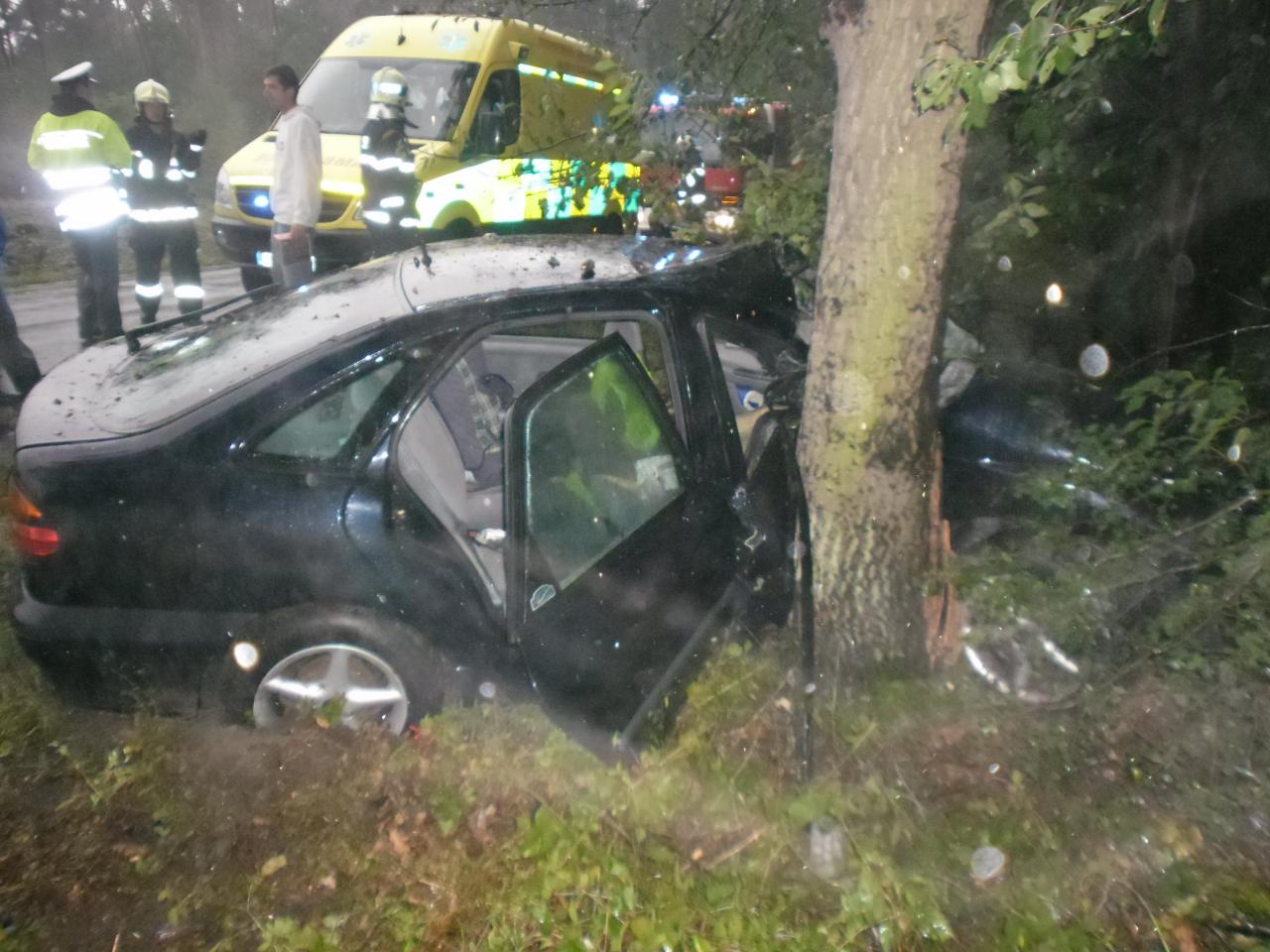 U Zminného na Pardubicku narazilo auto do stromu, havárie si vyžádala jedno těžké a jedno lehké zranění