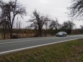 Uschlý strom v Čáslavské ulici ohrožuje životy chodců, město má ale svázané ruce a jeho odstranění je v nedohlednu