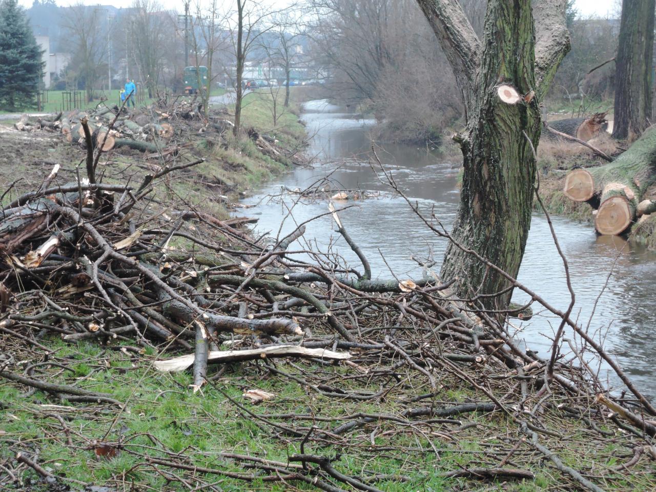 Břeh Chrudimky na Střelnici vydal poslední stromy
