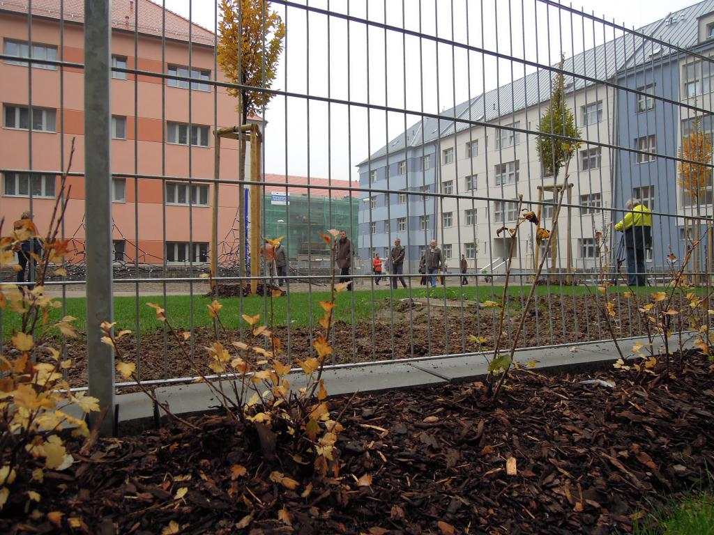 Radnice poskytne v Revoluční ulici občanskému sdružení Šance pro tebe zázemí pro terénní pracovníky
