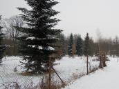 Park Střelnici čeká ještě letos rozšíření a regenerace, rozroste se o další plochu připomínající lužní les