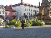Na Resselově náměstí se objevili první prodejci vánočních stromků a jmelí, připravte si na ně několik stokorun