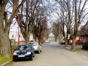 Radnice se definitivně rozhodla vykácet lípy v Nerudově ulici a nahradit je sedmadvaceti javory