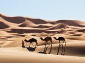 Přes Vysoký Atlas k písečným dunám Erg Chebbi
