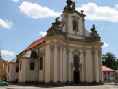 V Heřmanově Městci se přemnožili holubi, město si proto objednalo jejich odchyt, který bude pravidelně opakovat