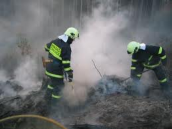 Od požáru lesa za Bystřicí u Včelákova už mnoho nechybělo, rozfoukaný žhavý popel přijeli uhasit hasiči