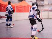 Pardubice v neděli ožijí hokejbalem, ozdobou bude exhibice Hemského a Průchy