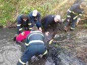 Žena zůstala zaklíněna s koněm v hlubokém bahně, zvíře museli vytáhnout hasiči jeřábem