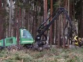 Městské lesy Chrudim byly v loňském roku opět v zisku, přestože je potrápilo sucho a dřevokazný hmyz