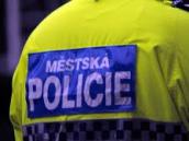 Skutečští strážníci vyrazili večer spolu s republikovou policií na kontrolu restaurací