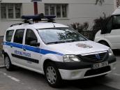 Chrudimské strážníky opět nejvíce zaměstnávali zatoulaní psi