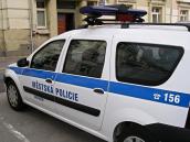 Na křižovatce Švermovy a Chelčického ulice ležel pes, kterého si nakonec odvedl majitel