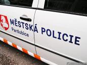 Strážníci narazili při kontrole na celostátně hledaného muže