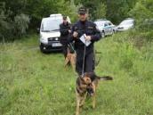 Čtrnáctiletý chlapec zabloudil v lese, policistům se ho podařilo nalézt během chvilky