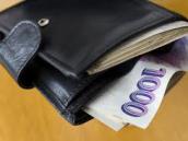 Peněženka s doklady a platební kartou, nalezená na Resslově náměstí, putovala do rukou majitele