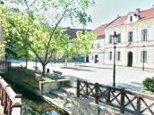 Strážníci hledali zloděje, který U Vodárny ukradl mříže chránící stromy, a vyjížděli krotit partu romských výrostků