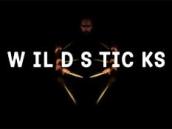 Divoké paličky hudebního souboru Wild Sticks rozezvučí Žižkovo náměstí