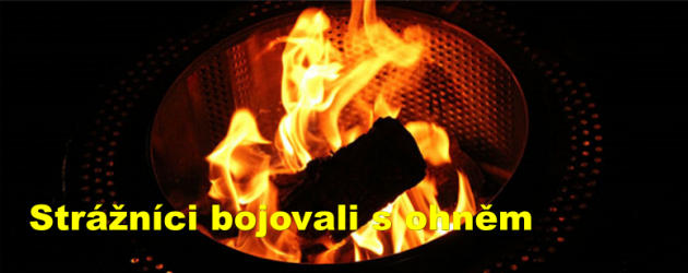 Strážníci bojovali s ohněm