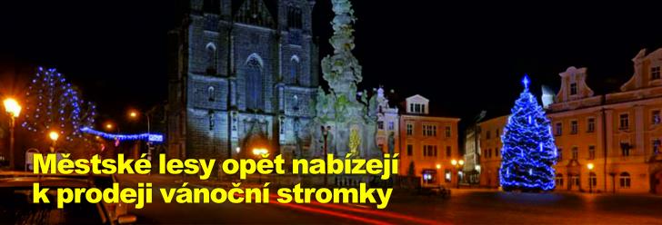 Městské lesy opět nabízejí k prodeji vánoční stromky