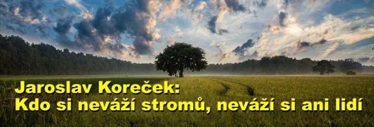 Jaroslav Koreček: Kdo si neváží stromů, neváží si ani lidí