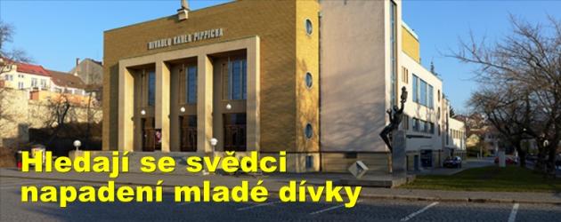 Hledají se svědci napadení mladé dívky