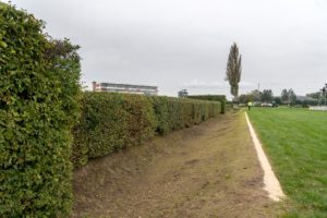 Trénink na Taxisově příkopu, i když ve změněné podobě, bude koňům dál odepřen