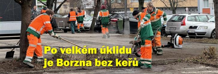 Chrudimská Borzna je po dnešku bez keřů