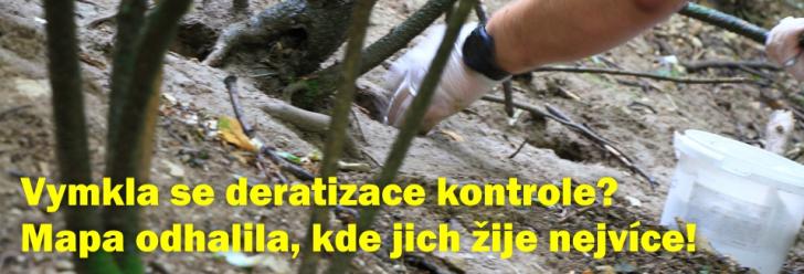 Vymkla se deratizace kontrole? Nejvíce potkanů žije podél zakopaného horkovodu