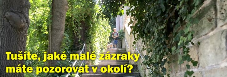 Malé zázraky v prostoru za Pardubskou fortnou najdete na každém kroku