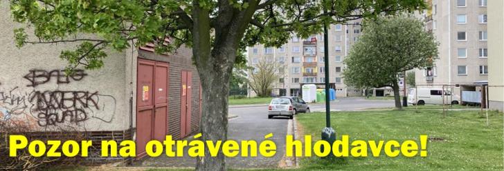 Pozor na otrávené návnady kvůli plošné deratizaci města