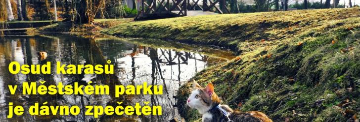 Rybářům i městu je příčina úhynu ryb v Městském parku jasná