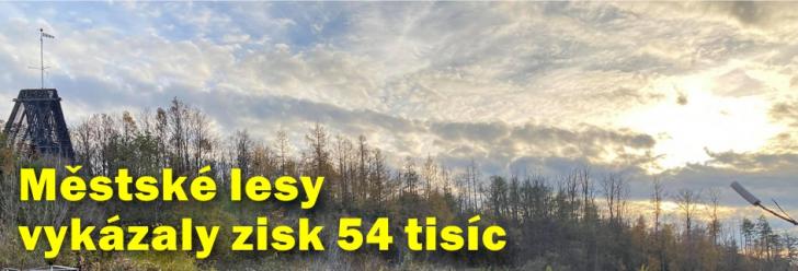 Městské lesy vykázaly zisk 54 tisíc