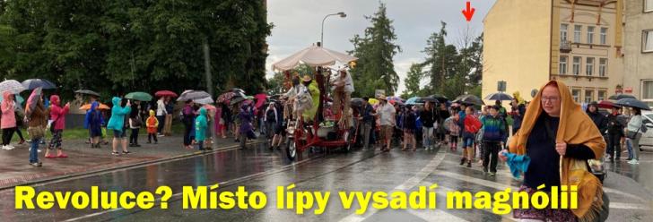 Místo pokácené památné lípy srdčité vysadí na podzim magnólii