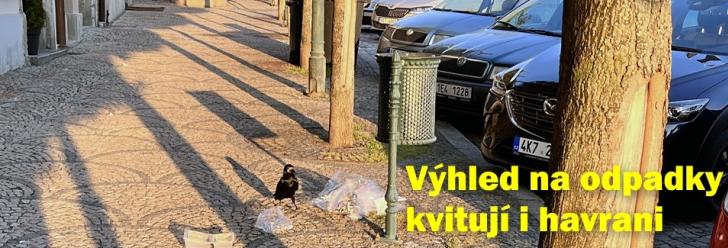 Neuzavřené koše na odpadky kvitují památkáři i havrani