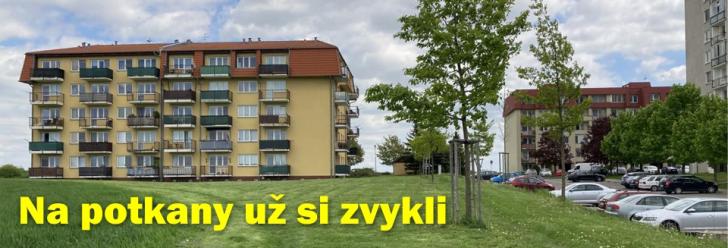 Lidé už si na potkany zvykli