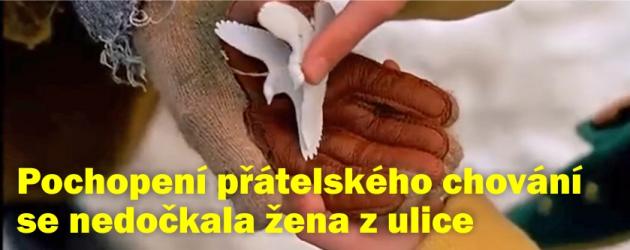 Pochopení přátelského chování se nedočkala žena z ulice?