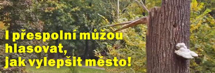 Patří do chráněné lokality dětské hřiště, nebo ptačí budky?