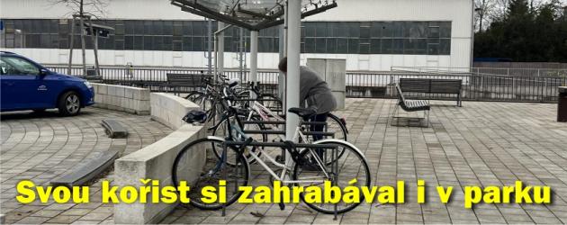 Svou kořist si zahrabával i v parku