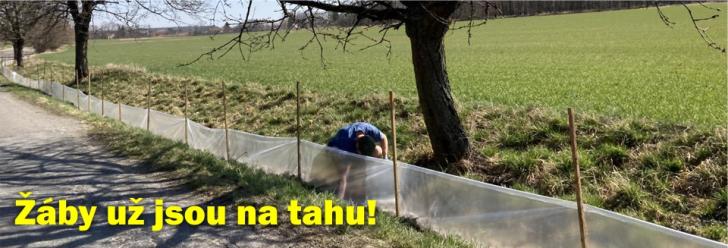 Žáby už jsou na tahu!